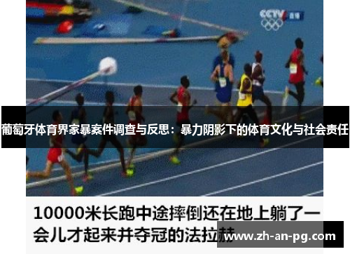 葡萄牙体育界家暴案件调查与反思：暴力阴影下的体育文化与社会责任